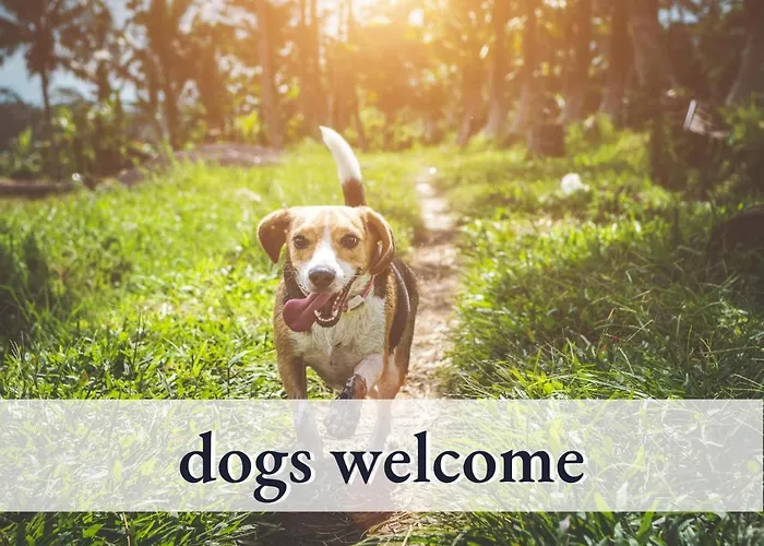 Sehr Gemütliche Ferienwohnung In Bester Lage Mit Großem Sonnenbalkon L Innenstadtnähe L 1 Minute Zum Bahnhof L Küche L Tv L Free-wlan L Willkommen Im Hallo!-apartment 8 * Bad Wörishofen